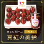 魅惑の黒いちご 真紅の美鈴 とジャムセット