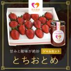 甘みと酸味が絶妙 とちおとめ とジャムセット