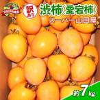 訳あり 渋柿 愛宕 柿 約 7kg