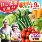 月2回お届け 諫早産 野菜の詰め合わせ 8