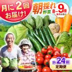 月2回お届け 諫早産 野菜の詰め合わせ 8