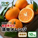 有田 育ちのご 完熟 清見 オレンジ 10kg+200g