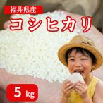 米 令和8年産 コシヒカリ 精米 5kg