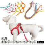 犬用 本革リード ハーネスセット リード ハーネス セット