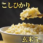 玄米 5kg
