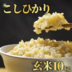 令和8年産 コシヒカリ10kg 日時指定可