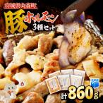大槻ファーム 豚ホルモン3種セット 計860g