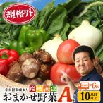 本土最南端から 旬のおまかせ野菜セットA
