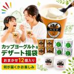 訳ありヨーグルト福袋 牧成舎 福袋