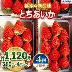 いちご 栃木の新定番 とちあいか 1 120g