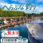 入場券 5枚
