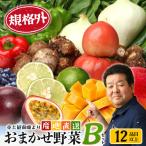 本土最南端から 旬のおまかせ野菜セットB