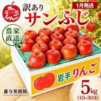 訳ありサンふじ5kg りんご 藤与果樹園