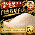 自然米 5kg