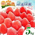 完熟 急速 冷凍いちご 5kg