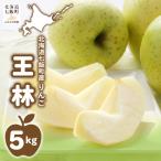 王林5kg 令和8年12月中旬頃 NABU002