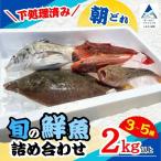 旬の鮮魚 詰め合わせ 2kg以上