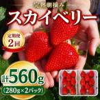頬張る幸せ★大粒 スカイベリー 560g
