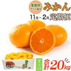 みかん 5kg