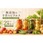 カラフルピクルス 2本セット みやしろピクルスの森