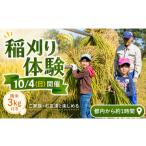 稲刈体験 精米3kg
