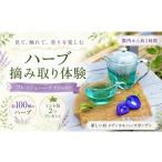 ハーブ摘み取り体験&ハーブティー