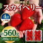 頬張る幸せ★大粒 スカイベリー 560g