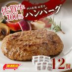佐賀牛ハンバーグ 12個