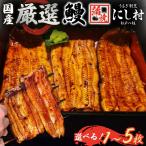 厳選 鰻蒲焼 5尾