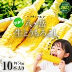 八ヶ岳 生とうもろこし はねだし 10本