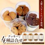 クッキー 詰め合せ4種 チョコチップ プレーン