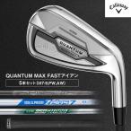アイアン キャロウェイ QUANTUM MAX