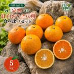 完熟 紅白 さつき 八朔 食べ比べ セット 5kg