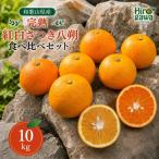 完熟 紅白 さつき 八朔 食べ比べ セット 10kg