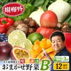 本土最南端から 旬のおまかせ野菜セットB