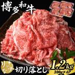 博多和牛 リッチな切り落とし 計1.2kg
