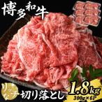 博多和牛 リッチな切り落とし 計1.8kg