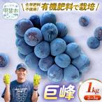 化学肥料不使用で育った巨峰 約1kg