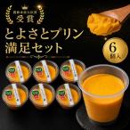 スイーツ かぼちゃプリン とよさと 6個