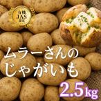 じゃがいも 2.5kg