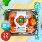 霧のトマトSummer 200g×12パック