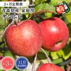 りんご サンふじ 約3kg
