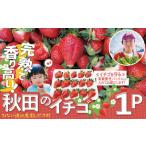 完熟で香り高い 秋田のイチゴ1パック 45P3407