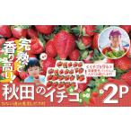 完熟で香り高い 秋田のイチゴ 2パック