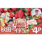 完熟で香り高い 秋田のイチゴ 4パック