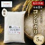 新米 コシヒカリ 5kg