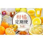 全 3回 3ヶ月 果物 定期便