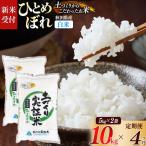 ひとめぼれ 10kg