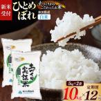 ひとめぼれ 10kg
