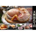 ふるさと納税 ＼漁業者応援品／【北海道根室産】活ホタテ貝 2kg前後 詰合せ A-57030 北海道根室市